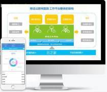 品质卓越的Web安全服务体系 ieGuard防复制软件在财务软件与云应用服务中的关键作用